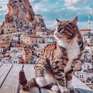 Meet your Posher, Volkan
